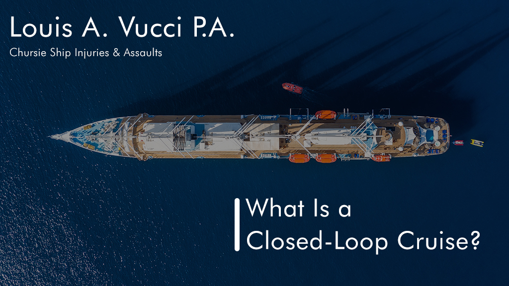 Aerial view of a cruise ship on the ocean