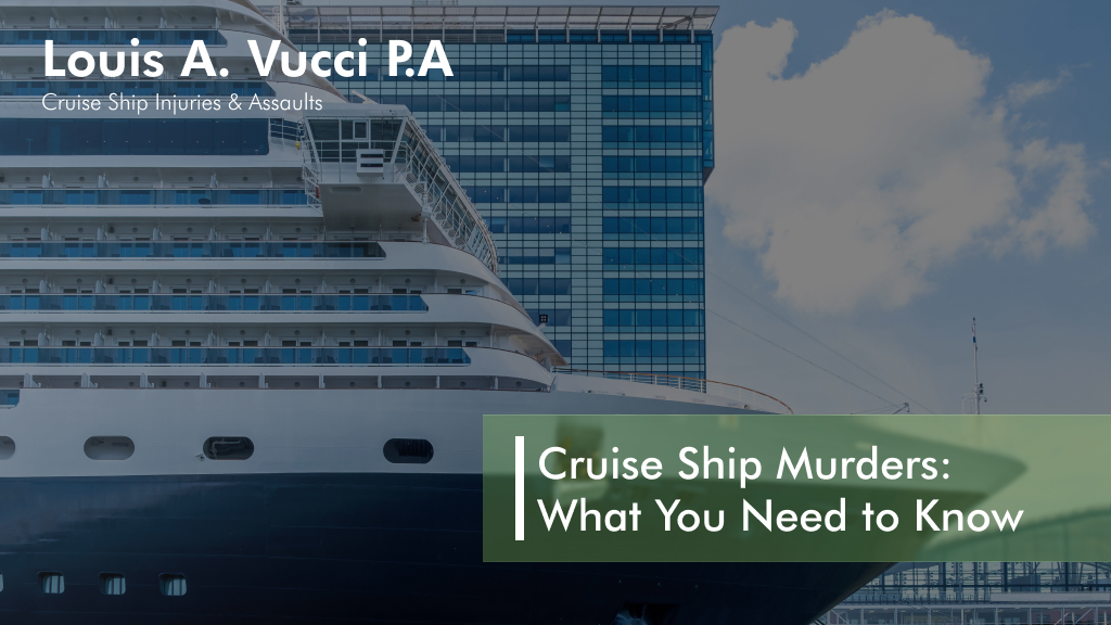 A cruise ship parked at the dork
